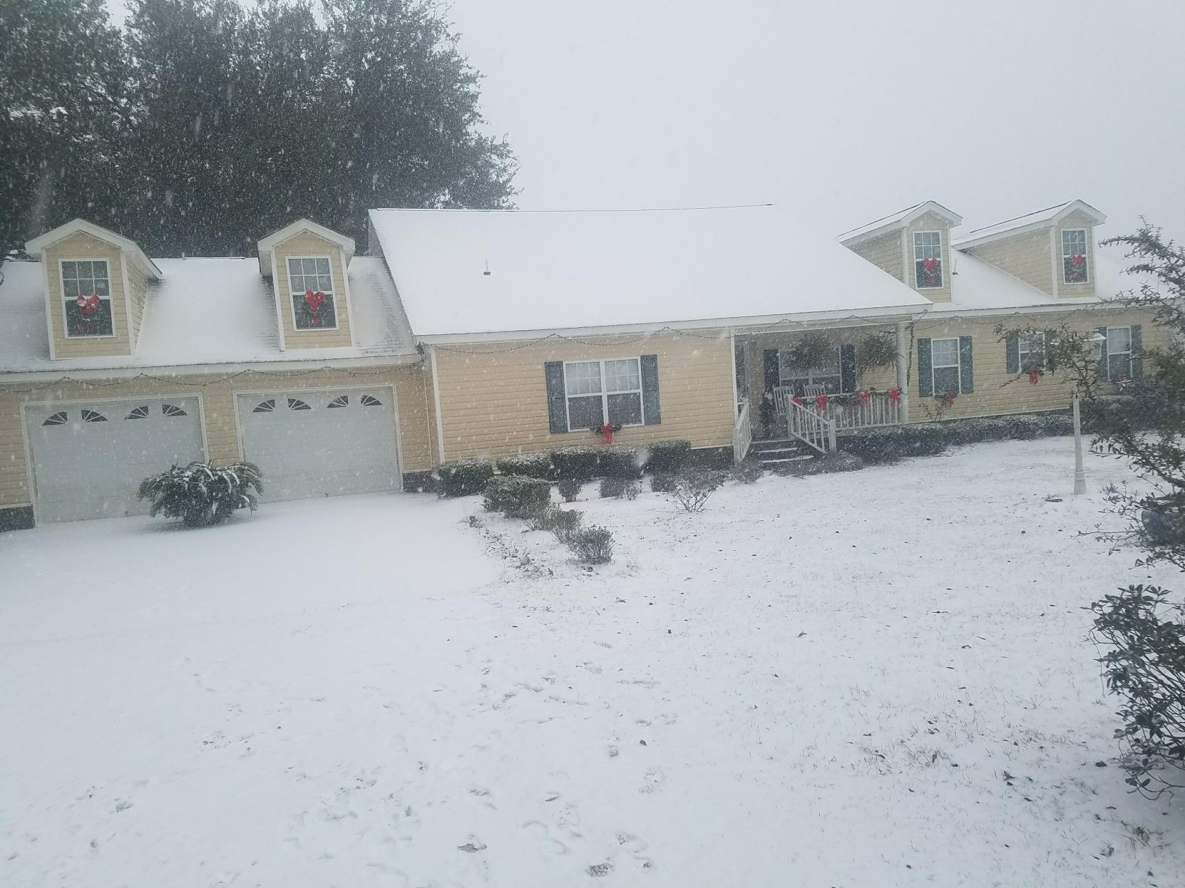 Reader's Snow Day Pics